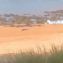 Segundo a Polícia Civil, não foram encontrados sinais aparentes de violência; causa da morte será investigada