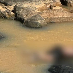 Bombeiros foram acionados na manhã de sexta-feira (26) e a perícia da Polícia Civil disse que a vítima será levada ao SML