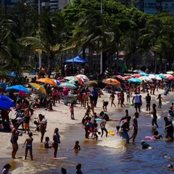 Início do ano, período marcado por férias escolares, verão e maior fluxo de pessoas em praias, rios, lagoas e piscinas, tende a registrar aumento nos casos, segundo especialista