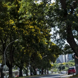 Nova regra altera Lei de Crimes Ambientais e vale para quando não houver resposta oficial de órgãos ambientais em até 45 dias