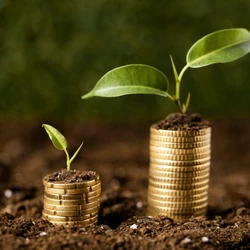 Eventos político e esportivo e até o volume de feriados podem influenciar o desempenho de ativos; confira opções conforme o perfil do investidor