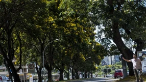 Ouça dealhes na participação do prefeito do município, Weverson Meireles