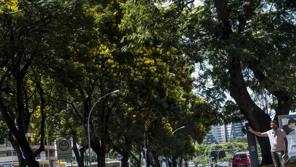 O mais preocupante é que muitas cidades capixabas ainda não possuem planos estruturados de mudanças climáticas. Falta prioridade, falta conhecimento técnico e, sobretudo, falta visão estratégica por parte de gestores municipais