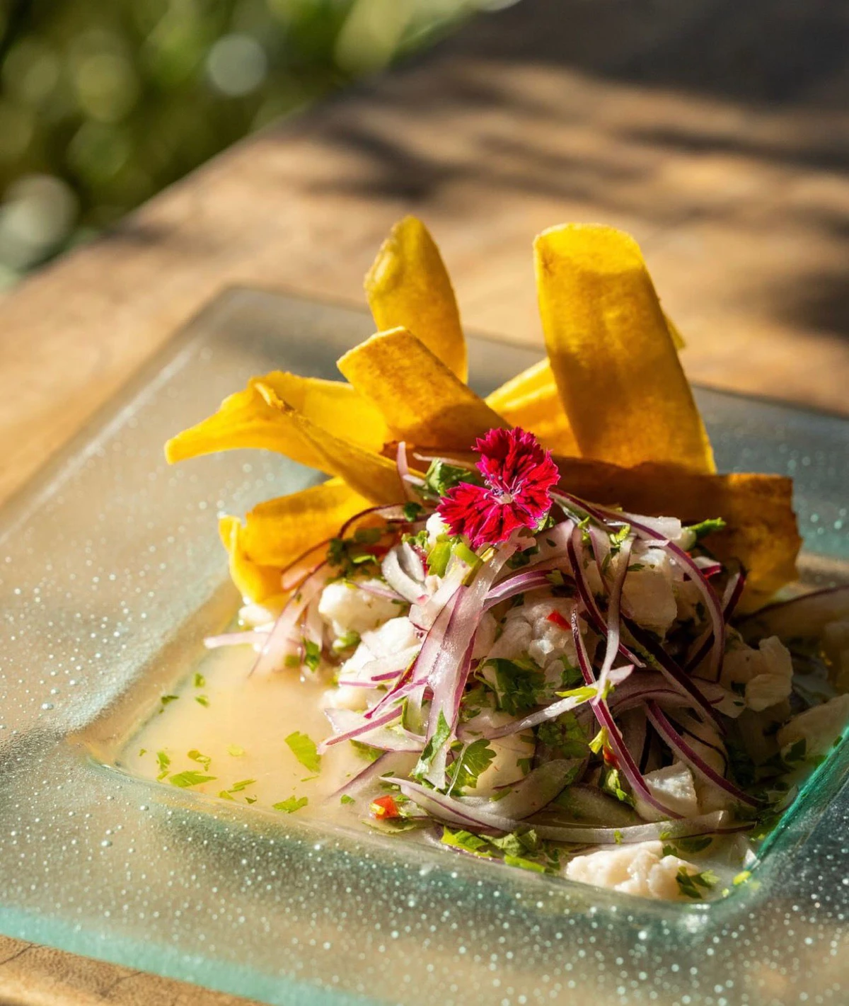 Ceviche do restaurante da pousada Solar da Praia, em Iriri