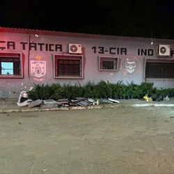 Um homem foi detido em flagrante suspeito de manter o cultivo ilegal de Cannabis sativa dentro do imóvel do bairro