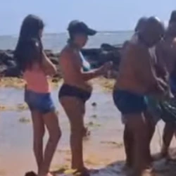 Animal foi resgatado em Jacaraípe, nesta sexta-feira (2), com apoio da população e levado para avaliação veterinária no município