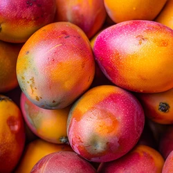 Segundo dono do imóvel, vítima teria utilizado uma haste metálica que encostou na fiação elétrica