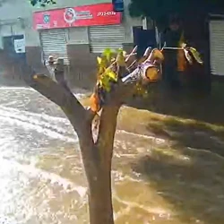 Cidade foi novamente atingida neste domingo (4) após temporal no sábado deixar bairros sem energia; Inmet prevê volumes acima de 100 mm por dia e risco elevado em todo o Estado