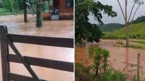 A Gazeta - a30k4ln7hp