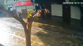 A Gazeta - i568oq3tcj