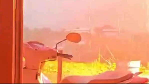 Raio que caiu em árvore de quintal de casa provocou estrondo e clarão