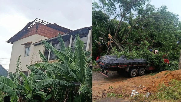 Defesa Civil também registrou quedas de árvores em alguns bairros da cidade após forte chuva e ventania
