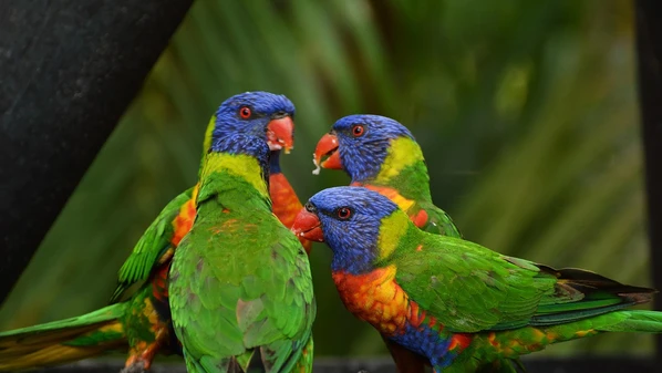 Nossas preferências por determinadas marcas — assim como a indiferença ou até a rejeição por outras — resultam de uma organização perceptual dessa hierarquia