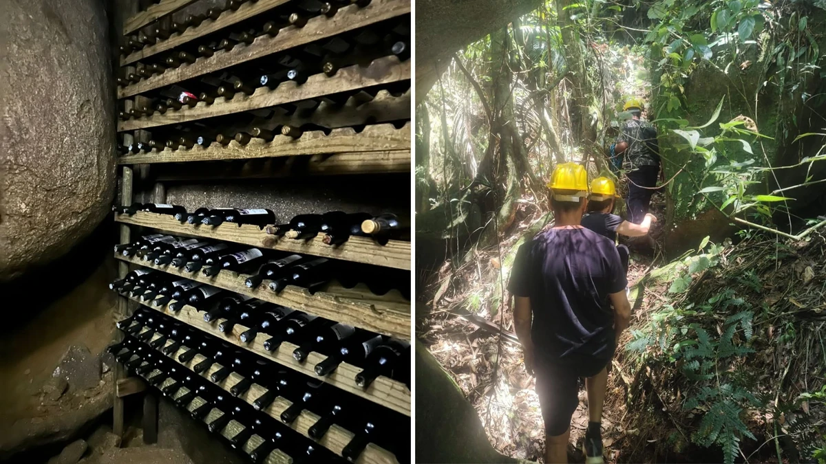 Rota das Cavernas e Plantas Medicinais