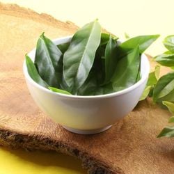 Além de saborosa, essa PANC tem um enorme potencial nutritivo 