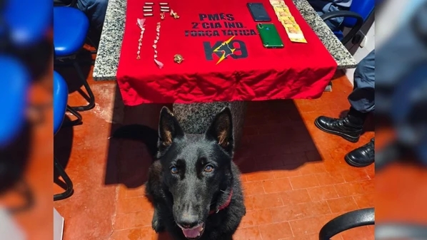 Além da pichação, cão farejador da Polícia Militar encontrou diversas drogas escondidas em um relógio de energia do local; mulher de 21 anos também foi presa na ação