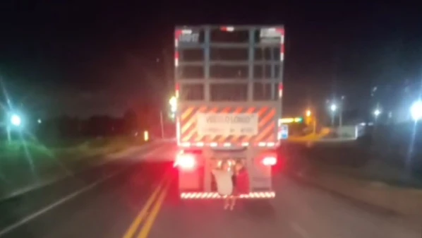 Vídeo mostra duas pessoas sentadas no para-choque traseiro do veículo que trafegava pela BR 101; é o segundo flagrante semelhante no mesmo trecho da rodovia nesta semana