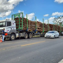 A vítima estava em uma motocicleta que atingiu a traseira da carreta que havia estacionado no acostamento por conta de uma pane mecânica; jovem chegou a ser socorrido, mas morreu a caminho do hospital