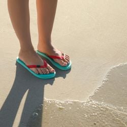 Com medidas simples e atenção aos sinais, é possível aproveitar o calor com segurança, conforto e saúde 