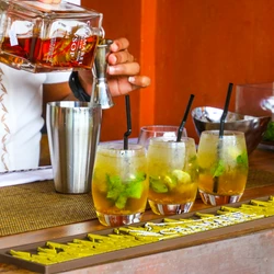 Confira algumas opções de drinks para saborear neste verão feito pelas suas próprias mãos