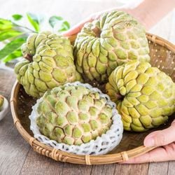 Rica em nutrientes, ela é considerada um superalimento e oferece diversas vantagens para o organismo