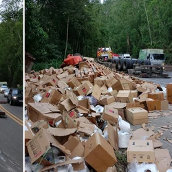 O motorista contou ao Corpo de Bombeiros que o acidente aconteceu após a carga 'puxar' o veículo; trânsito ficou em sistema de "pare e siga"