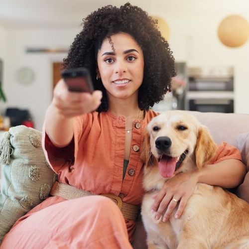 Imagem - 8 nomes para cachorros inspirados em novelas famosas