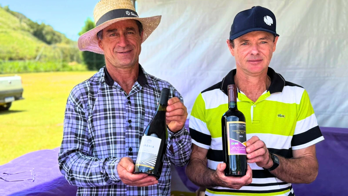 Festival da Uva e do Vinho terá edição histórica com toneladas de uva no ES