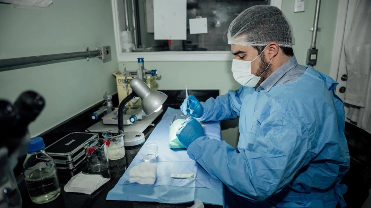 Médico capixaba integra pesquisa da polilaminina, medicamento que pode regenerar lesões medulares