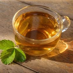 Além de deixar o lar mais bonito, elas podem agregar mais saúde e qualidade de vida ao dia a dia