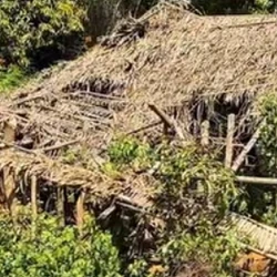 O local é uma casa abandonada e parcialmente coberta por vegetação, que corresponde ao local que o primo das crianças, Anderson Kauã, 8, disse às autoridades que os três haviam se abrigado