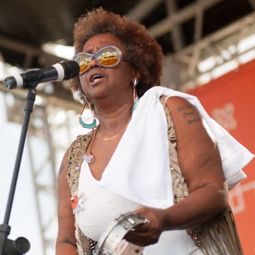 Imagem - Com Sandra de Sá, Festival dos Golfinhos une música e sustentabilidade em Vitória