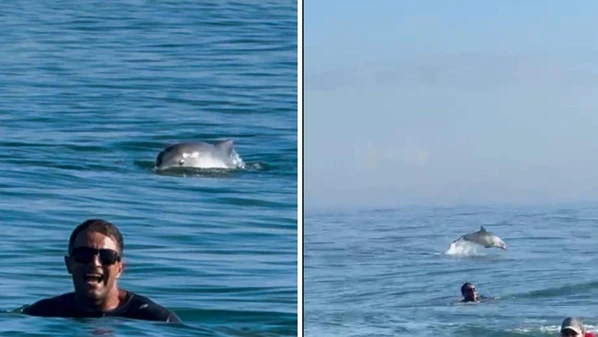 Um grupo grande dos mamíferos se aproximou de alguns praticantes de canoa havaiana, que aproveitaram para registrar os belos saltos