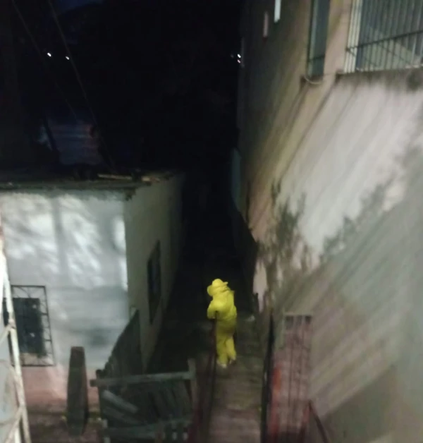 Ataque de abelhas africanizadas deixa feridos e mobiliza bombeiros em Colatina por Leitor | A Gazeta