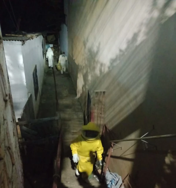 Ataque de abelhas africanizadas deixa feridos e mobiliza bombeiros em Colatina por Leitor | A Gazeta