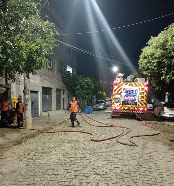 Ataque de abelhas africanizadas deixa feridos e mobiliza bombeiros em Colatina por Leitor | A Gazeta