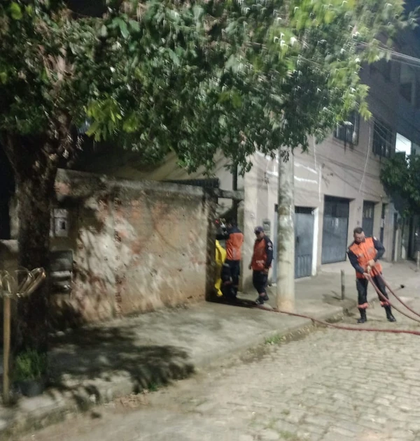 Ataque de abelhas africanizadas deixa feridos e mobiliza bombeiros em Colatina por Leitor | A Gazeta