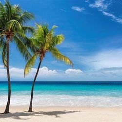 Na Jamaica, uma lei dos tempos coloniais concede ao Estado o direito de transferir áreas costeiras para a propriedade privada, impedindo que os cidadãos do país tenham acesso às praias, cada vez mais ocupadas por resorts de luxo estrangeiros. Mas, 100 anos depois, os jamaicanos lutam pela sua revogação.