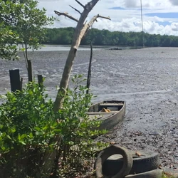 Corpo foi localizado em uma área de mangue na manhã na noite dessa sexta (16); além do homicídio, uma tentativa também foi registrada horas antes do primeiro crime