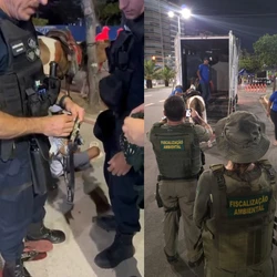Com os jovens, de 18 e 16 anos, os agentes apreenderam pinos de cocaína e frascos semelhantes a loló e lança-perfume; os animais foram recolhidos por uma empresa acionada para o resgate