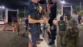 A Gazeta - 82u8i217o