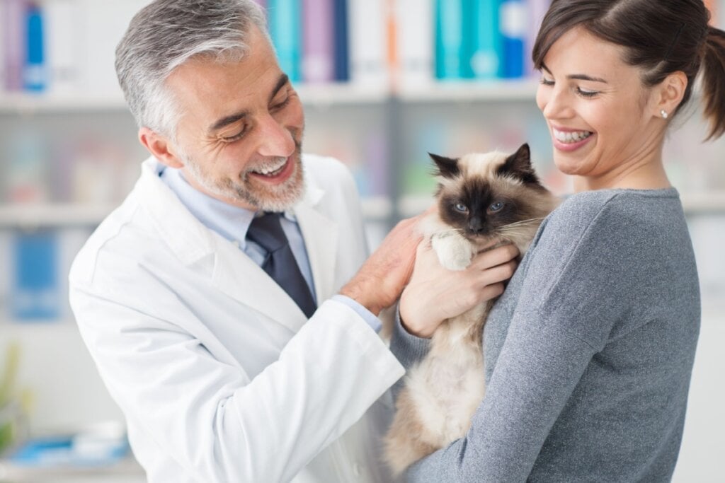 O diagnóstico da FIV e da FELV é importante para garantir qualidade de vida ao gato (Imagem: Stokkete | Shutterstock)