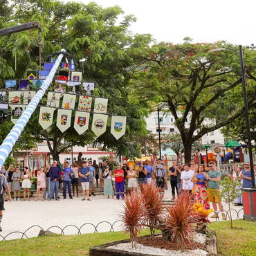 Imagem - Sommerbaum: árvore simbólica dá início ao verão alemão em Domingos Martins