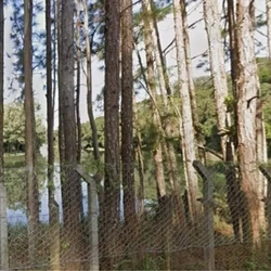 O problema aconteceu após dias de chuva na área; uma ponte que passa pela Estrada da Serra foi derrubada com a força da água