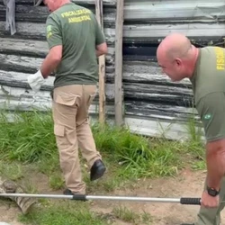 O réptil foi resgatado pela Fiscalização Ambiental do município e foi levado ao Centro de Triagem de Animais Silvestres (Cetas), onde vai passar por exames antes de ser devolvido à natureza