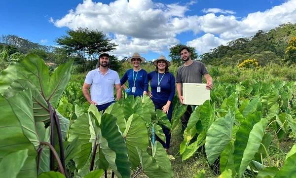 Pesquisadores do inhame do Centro de Pesquisa, Desenvolvimento e Inovação Serrano (CPDI Serrano), em Domingos Martins