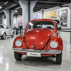 Modelo também foi o mais procurado e anunciado na plataforma, entre carros fabricados até 1990, e versão mais vendida foi a 1974; Espírito Santo foi o oitavo Estado com maior procura