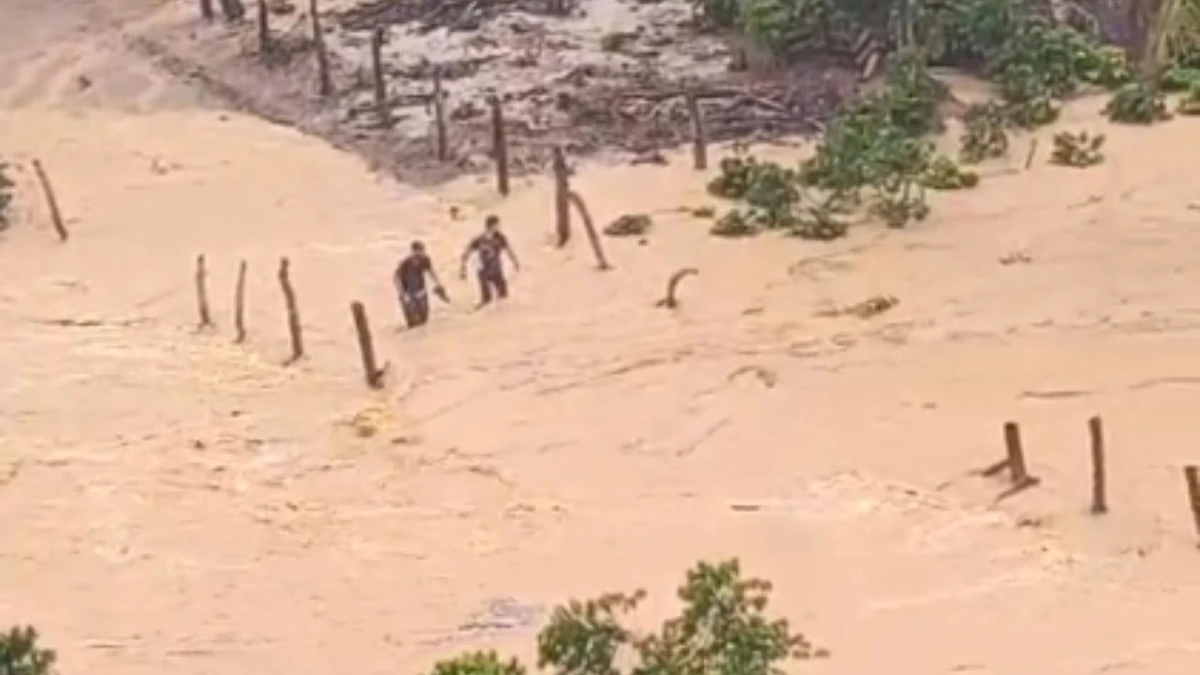 Chuvas fortes atingem as comunidades de Palmeiras por Leitor | A Gazeta