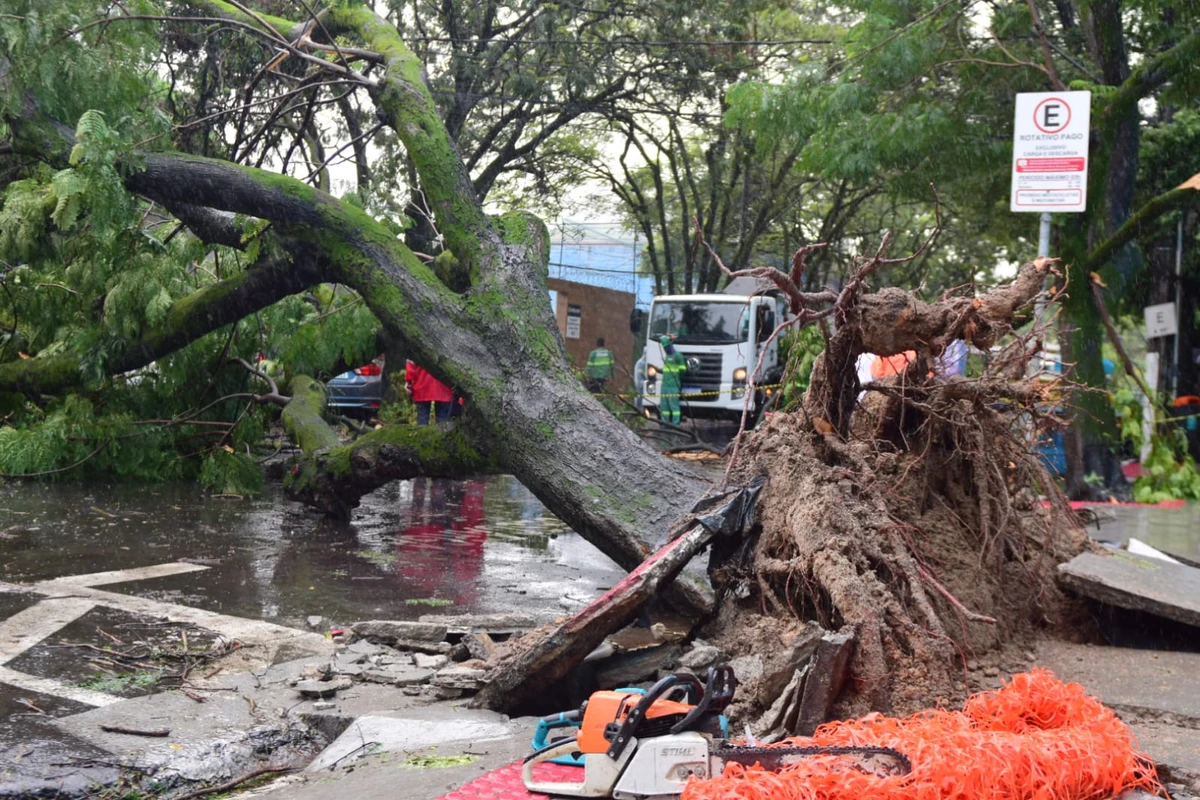 Seis carros atingidos por árvore em frente à Maternidade Unimed, em Santa Lúcia. Não houve feridos por Fernando Madeira/A Gazeta