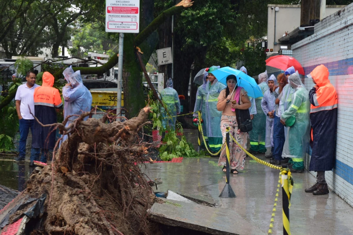 Seis carros atingidos por árvore em frente à Maternidade Unimed, em Santa Lúcia. Não houve feridos por Fernando Madeira/A Gazeta